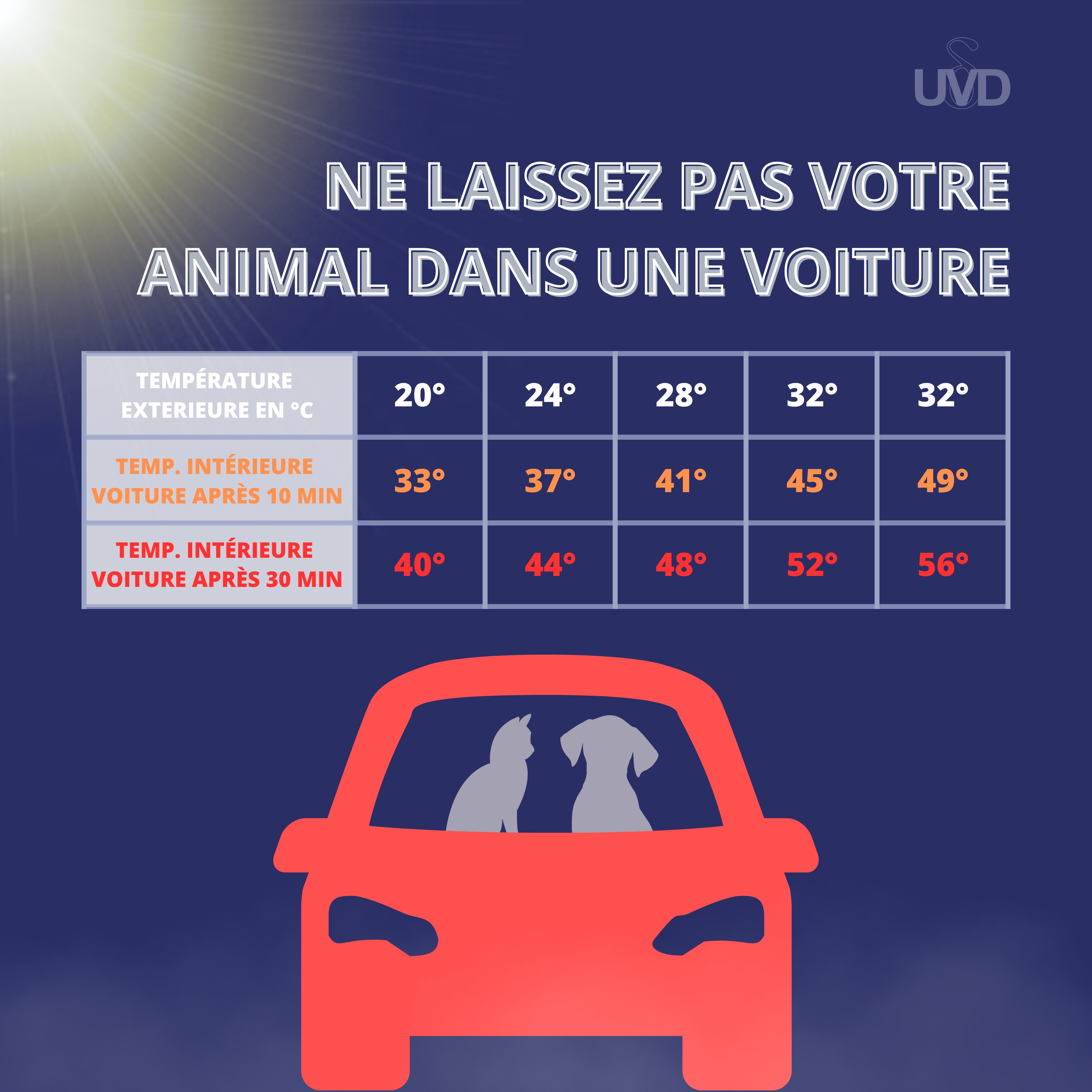 ne laissez pas votre animal dans votre voiture